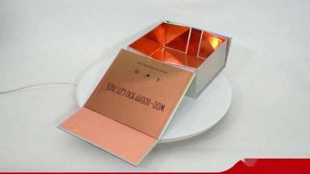 Kundenspezifische Luxus-Geschenkbox aus schwarz bedrucktem, starrem, faltbarem Karton mit Magnetverschluss für Wein/Kleidung/Bekleidung/Schuhe/Kosmetik/Geschenk